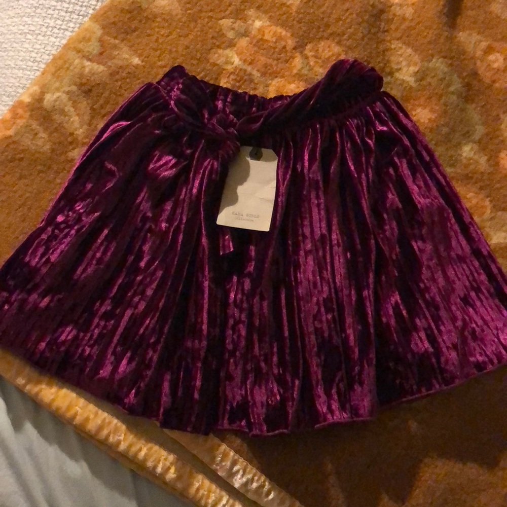 Zara Velvet skirt